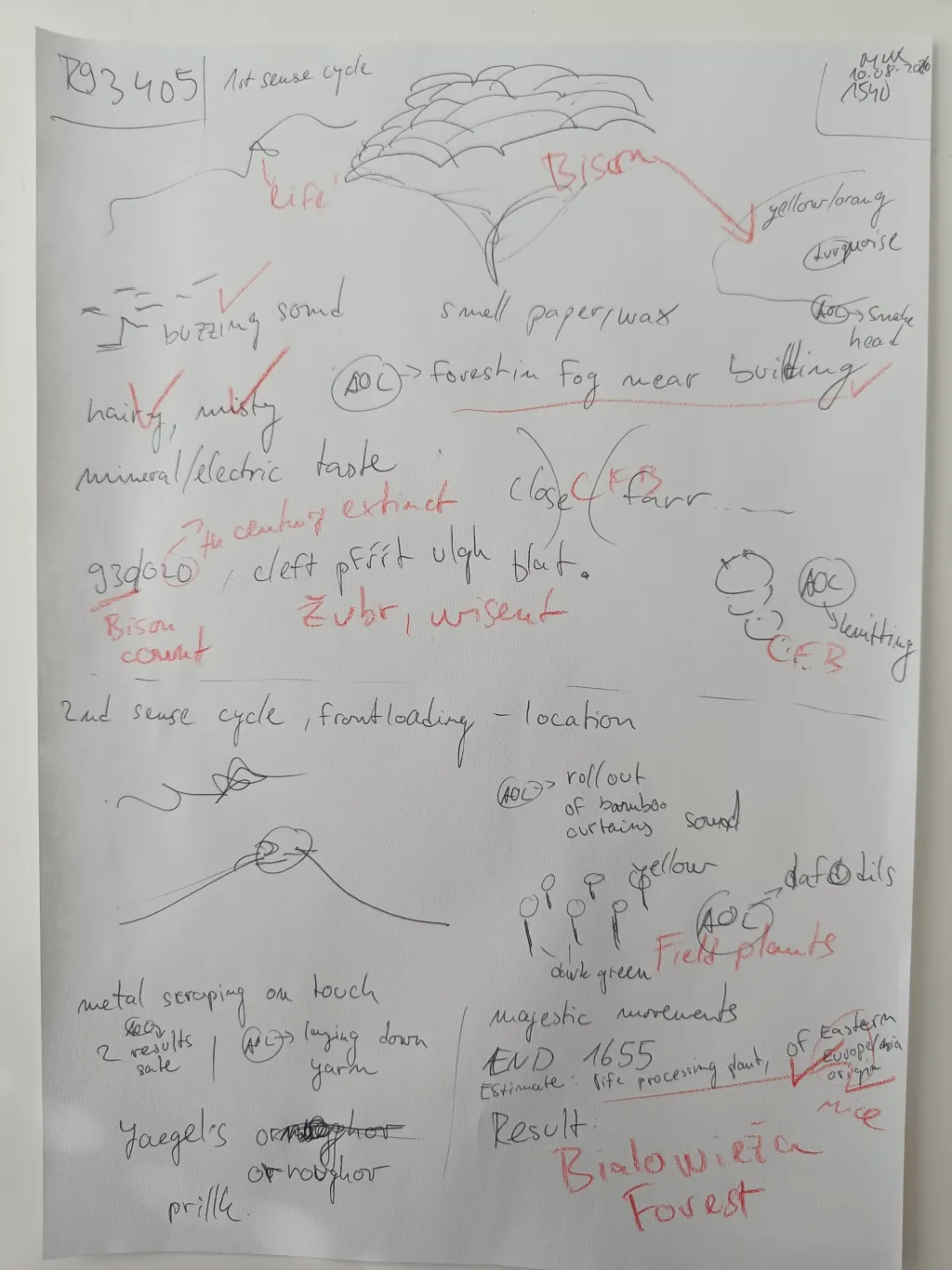 Handwritten session sheet for target R93405 with pencil sketches and notes about bison and forest and red feedback annotations; the revealed target was Białowieża Forest.